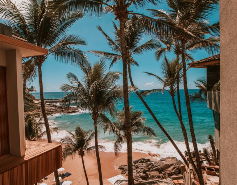 Blue Praia Bar. Rio Vermelho. Salvador Bahia. Foto Tércio Campelo. Divulgação.