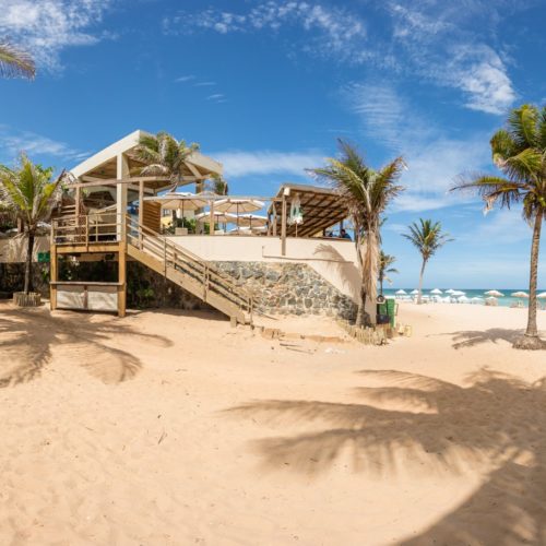 Lôro Stella Maris. Foto: Fábio Marconi