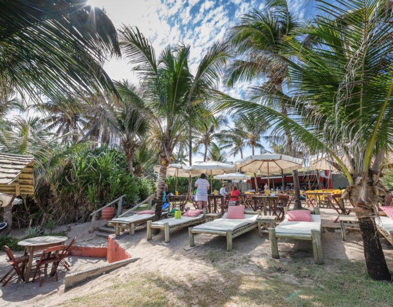 Lôro Pedra do Sal. Foto: Fábio Marconi