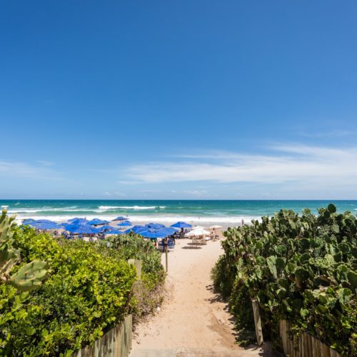 Lôro Flamengo. Praia do Flamengo. Foto: Fábio Marconi. 