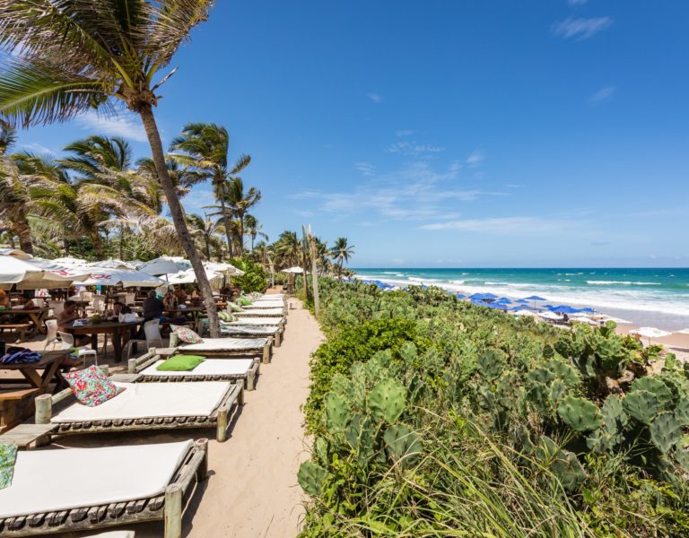 Banner - Where to spend the summer? Choose Salvador!