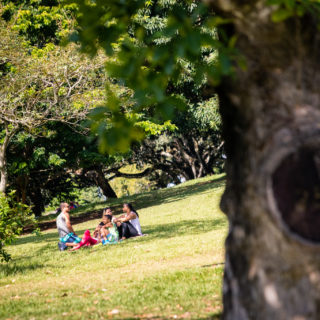 Lugares para piquenique em Salvador