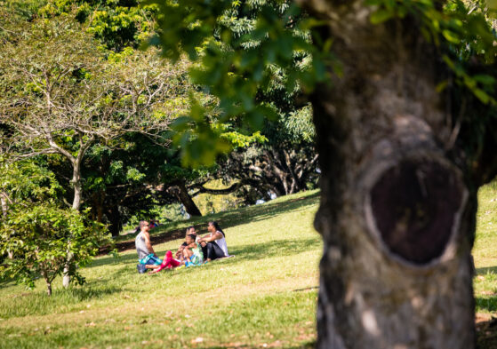 Lugares para piquenique em Salvador