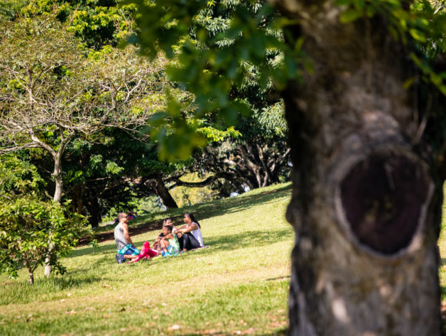 Parque da Cidade. Foto: Fábio Marconi