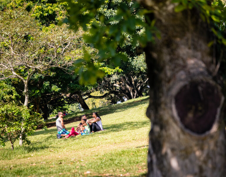 Parque da Cidade. Foto: Fábio Marconi