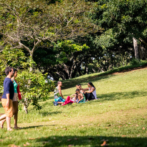 Parque da Cidade. Foto: Fábio Marconi