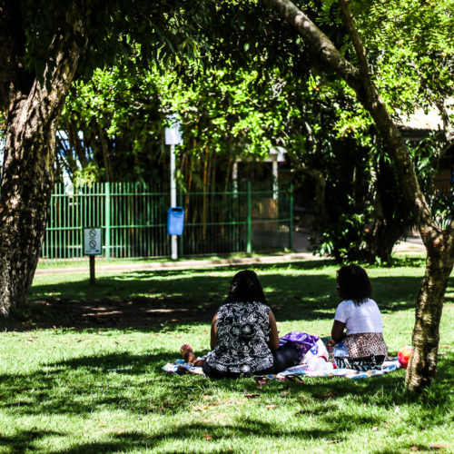 Parque da Cidade.. Salvador Bahia Foto: Amanda Oliveira.