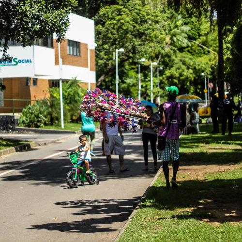 Parque da Cidade.. Salvador Bahia Foto: Amanda Oliveira.