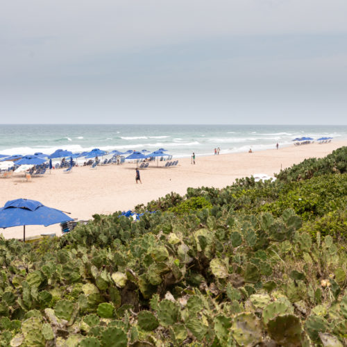 Barraca Pipa. Praia do Flamengo, Salvador. Foto: Fábio Marconi