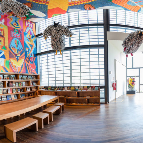 Casa do Carnaval - livros que contam a história dessa grande festa. Foto: Fábio Marconi