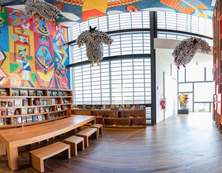 Casa do Carnaval - livros que contam a história dessa grande festa. Foto: Fábio Marconi