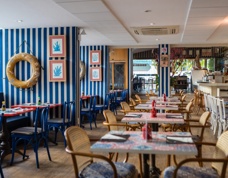 Martim Pescador. Foto: Fábio Marconi