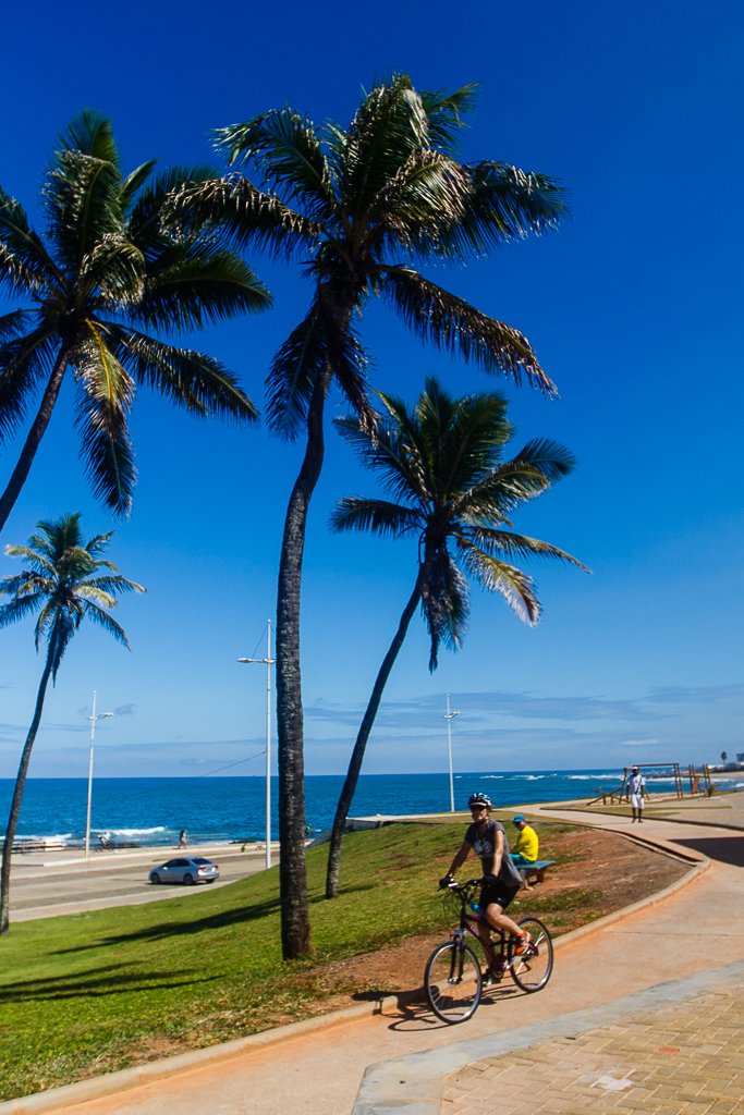 Jardim de Alah. Foto: Amanda Oliveira.