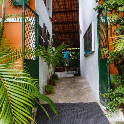 Paraíso Tropical. Foto: Amanda Oliveira