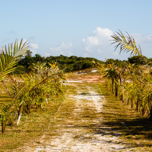 Parque das Dunas. Foto: Amanda Oliveira.