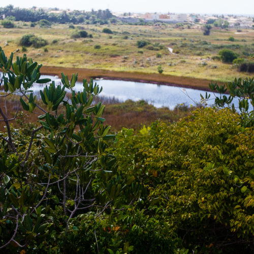 Parque das Dunas. Foto: Amanda Oliveira.