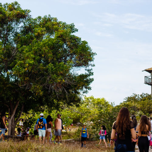 Parque das Dunas. Foto: Amanda Oliveira.