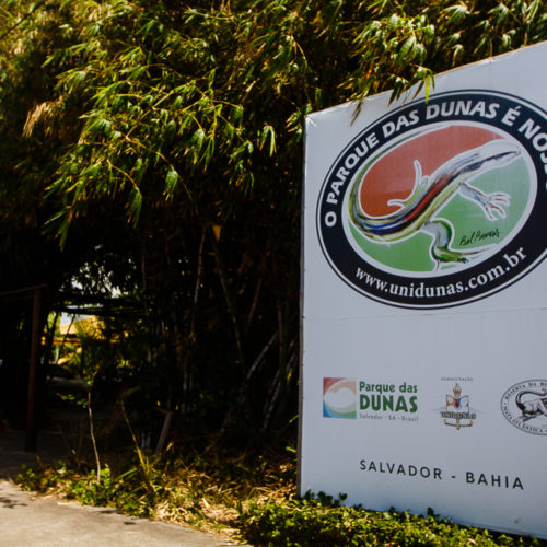 Parque das Dunas. Foto: Amanda Oliveira.