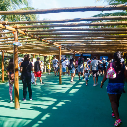 Parque das Dunas. Foto: Amanda Oliveira.