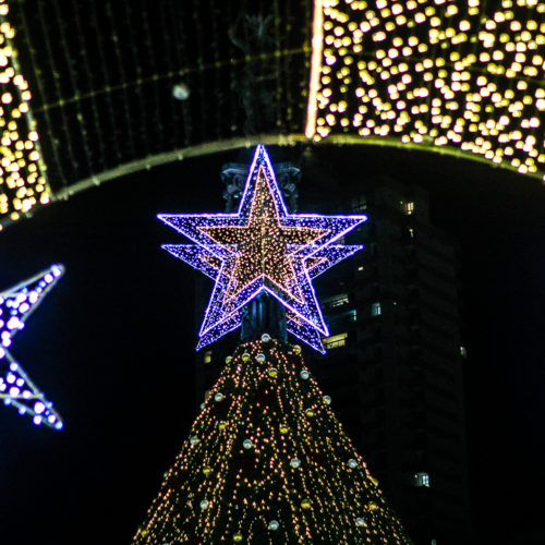 Decoração de Natal no Campo Grande. Foto: Amanda Oliveira.