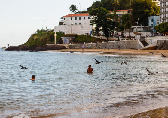 Projeto 