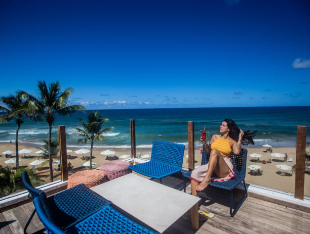 Lôro Stella Maris. Praia de Stella Maris. Salvador, Bahia. Foto: Amanda Oliveira.