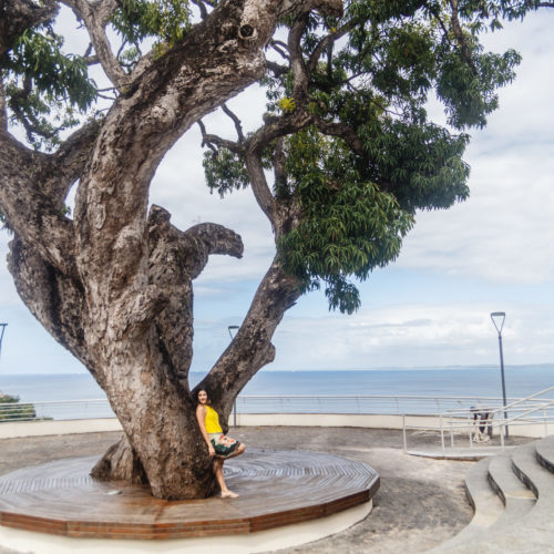 Mirante Wildberger. Graca, Salvador Bahia. Foto: Amanda Oliveira.