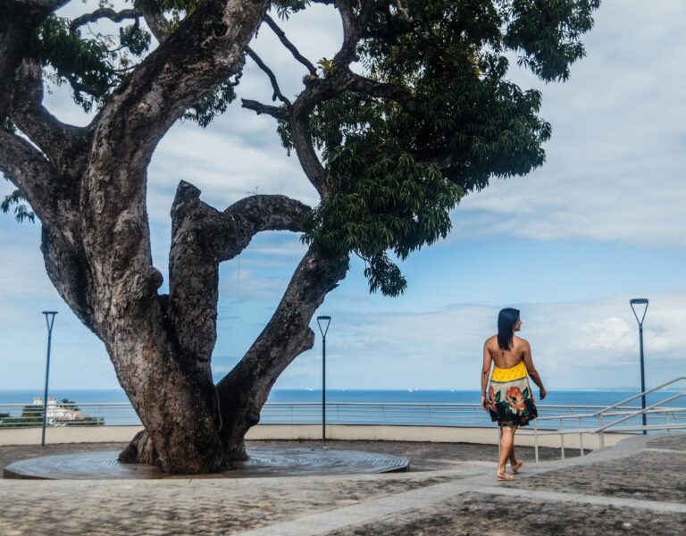 Mirante Wildberger. Graca, Salvador Bahia. Foto: Amanda Oliveira.