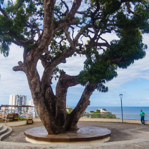 Mirante Wildberger. Graca, Salvador Bahia. Foto: Amanda Oliveira.