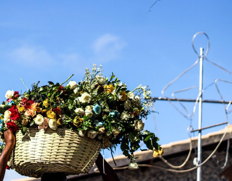 Banner - Festa de Iemanjá