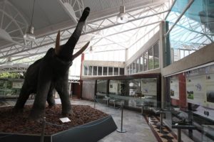 Museu Geológico da Bahia