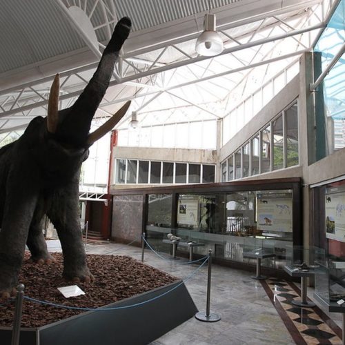 Museu Geológico da Bahia
Foto: Fernando Vivas/GovBA- Divulgação