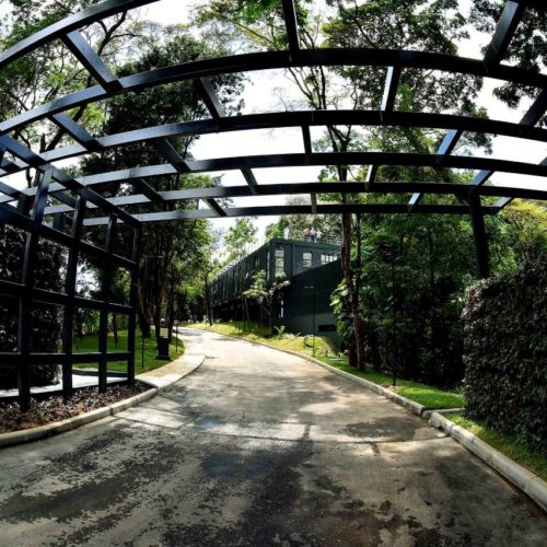 Jardim Botânico 
Foto: Divulgação