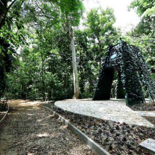 Le jardin botanique de Salvador