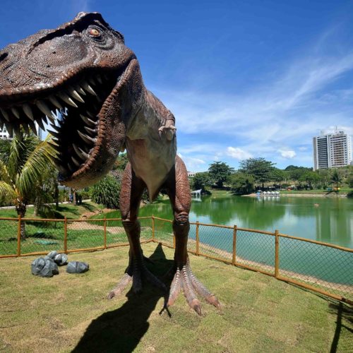Lagoa dos Dinossauros. Bairro do Stiep. Salvador Bahia. Foto Jefferson Peixoto Secom .