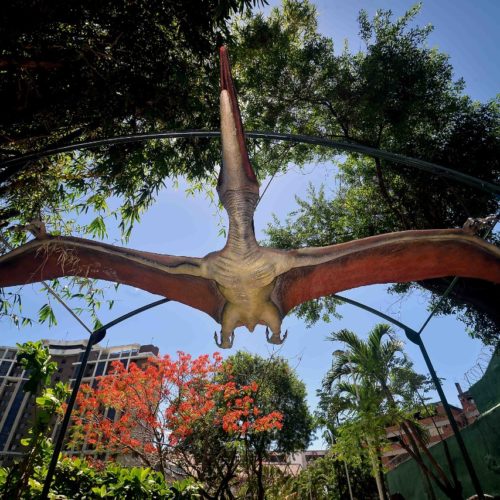 Lagoa dos Dinossauros. Bairro do Stiep. Salvador Bahia. Foto Jefferson Peixoto Secom .