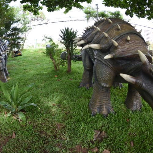 Lagoa dos Dinossauros. Bairro do Stiep. Salvador Bahia. Foto Valter Pontes Secom.