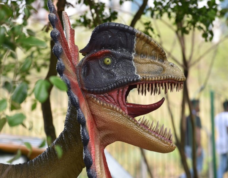 Banner - Parque dos Dinossauros