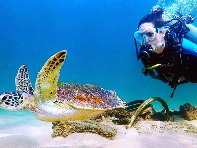 Mergulho marinho. Barra Salvador Bahia. Foto Robson Oliveira. Divulgação.