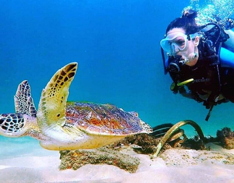 Mergulho marinho. Barra Salvador Bahia. Foto Robson Oliveira. Divulgação.