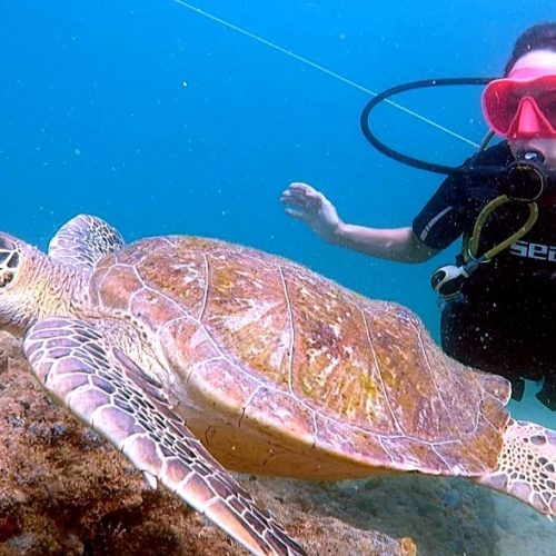 Mergulho marinho. Barra Salvador Bahia. Foto Robson Oliveira. Divulgação.