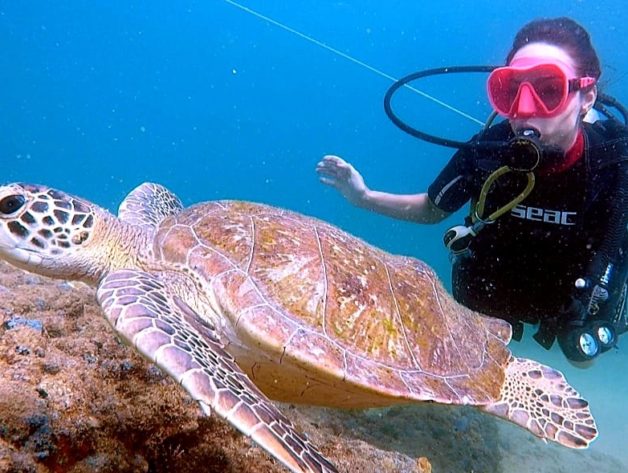 Mergulho marinho. Barra Salvador Bahia. Foto Robson Oliveira. Divulgação.
