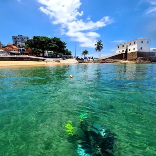 Mergulho marinho. Barra Salvador Bahia. Foto Robson Oliveira. Divulgação.