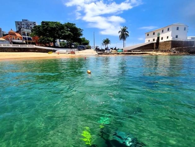 Mergulho marinho. Barra Salvador Bahia. Foto Robson Oliveira. Divulgação.