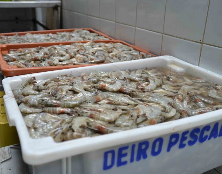 Produtos para Semana Santa. Foto Jefferson Peixoto. Secom.