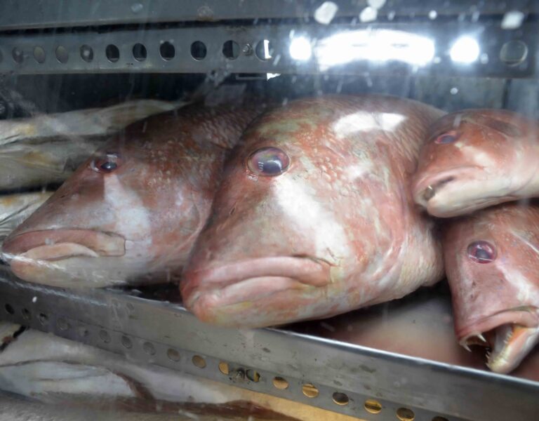 Produtos para Semana Santa. Foto Jefferson Peixoto. Secom.