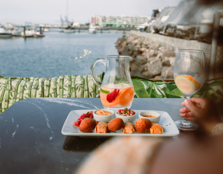 Lôro na Bahia Marina. Comércio. Salvador Bahia. Foto: divulgação.
