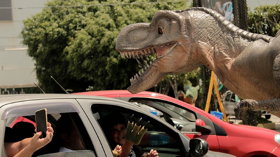 Banner - Jurassic Safari