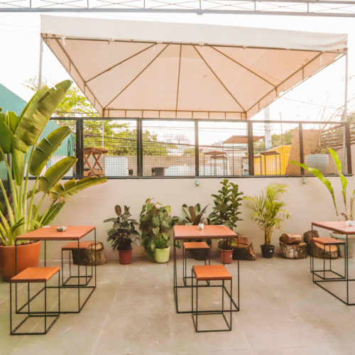 Cafeteria Botânica. Pituba. Salvador Bahia. Foto Lígia Rizério.