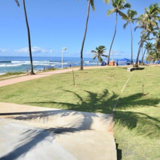 Let’s take a walk on the new edge of Stella Maris